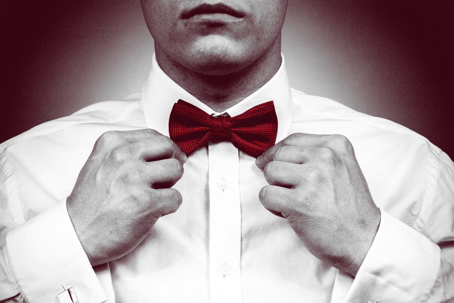 Source Image by <a href="https://pixabay.com/users/BarbaraALane-756613/?utm_source=link-attribution&utm_medium=referral&utm_campaign=image&utm_content=1727386">Barbara A Lane</a> from <a href="https://pixabay.com/?utm_source=link-attribution&utm_medium=referral&utm_campaign=image&utm_content=1727386">Pixabay</a>