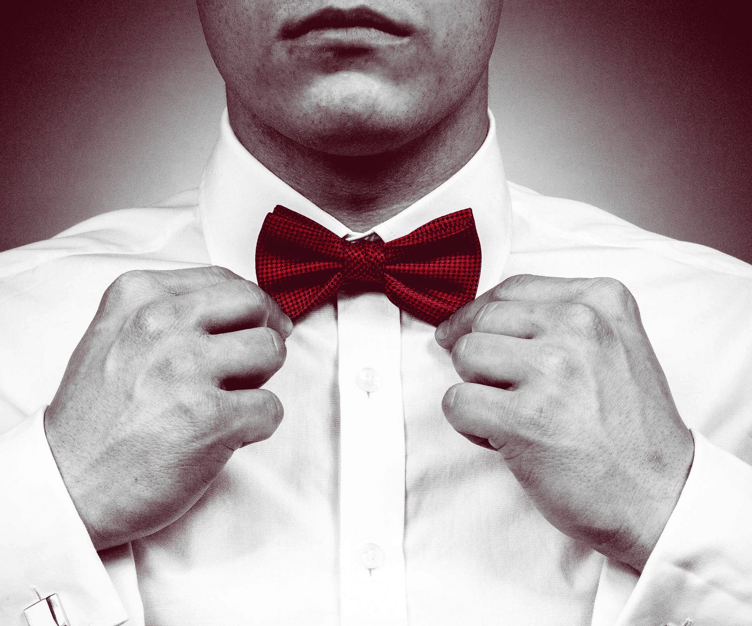 Source Image by <a href="https://pixabay.com/users/BarbaraALane-756613/?utm_source=link-attribution&utm_medium=referral&utm_campaign=image&utm_content=1727386">Barbara A Lane</a> from <a href="https://pixabay.com/?utm_source=link-attribution&utm_medium=referral&utm_campaign=image&utm_content=1727386">Pixabay</a>